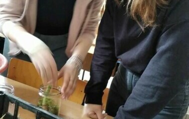 432058623_429019016298099_4023804593836603417_n