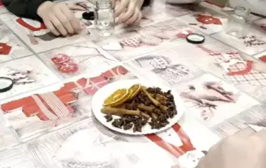 e01e4a4c-3e7a-4846-b655-d3fb42e16eb8