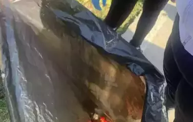 46d58841-329f-487b-8178-5df477024cf4