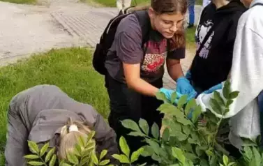 5d2265cc-23d7-4429-b5db-e9ae716958d4