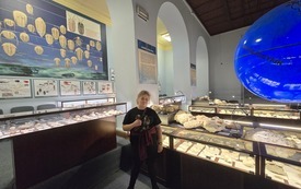 1000037263