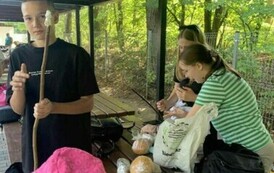 2696c92e-1215-475a-ac74-95462be4d866