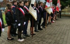 IMG_20241108_100414