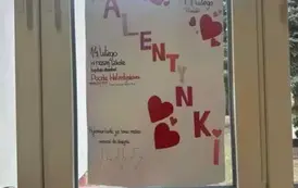 ce271223-4af2-4e06-ad09-29f816d23085