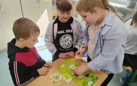 d42b888d-6eed-4619-9416-e353df96c664