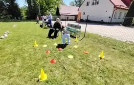 c8f49e8c-b42d-471b-bf86-1d61de638942