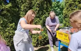 ba86364a-c714-4ab0-be36-5dbfd41f716d