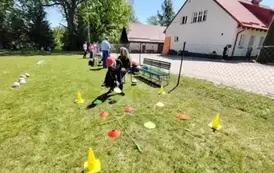 01635a3e-924b-4216-a686-3cdad7850625