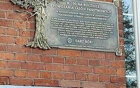 386468747_1497250927694721_823331876871686295_n