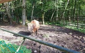 386434248_994285225112886_2387080546339993525_n