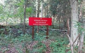 384539238_3532759493662742_1490152132346394003_n