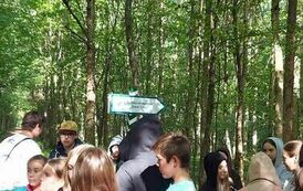 384535276_995812514978310_1708961083574529104_n