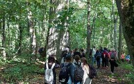 384534559_1497838467639588_4769005025931361266_n