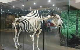 384534028_1294772981405282_6214209451876171224_n