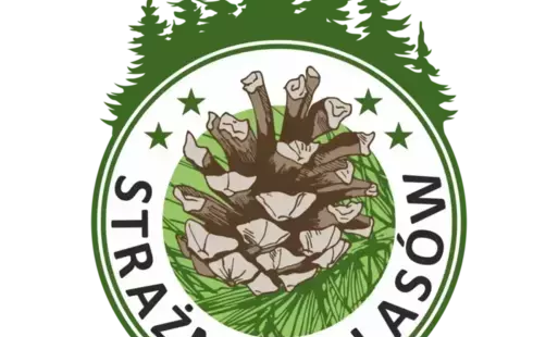 #straznicylasow